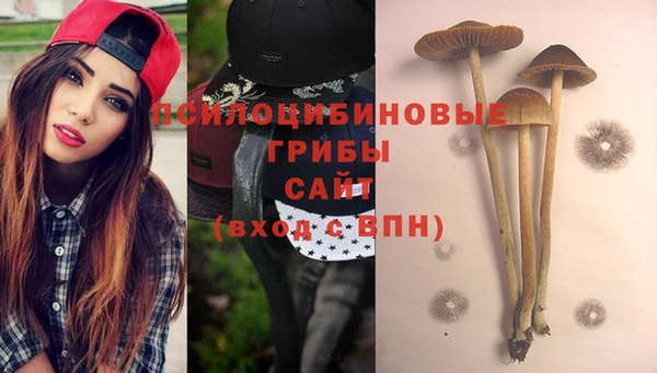 ГАЛЛЮЦИНОГЕННЫЕ ГРИБЫ Абаза